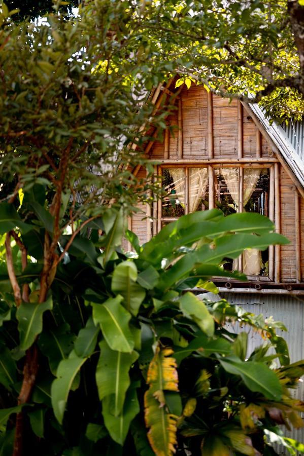Chalet Ecoturismo La Nohelia Jericoc  Luaran gambar