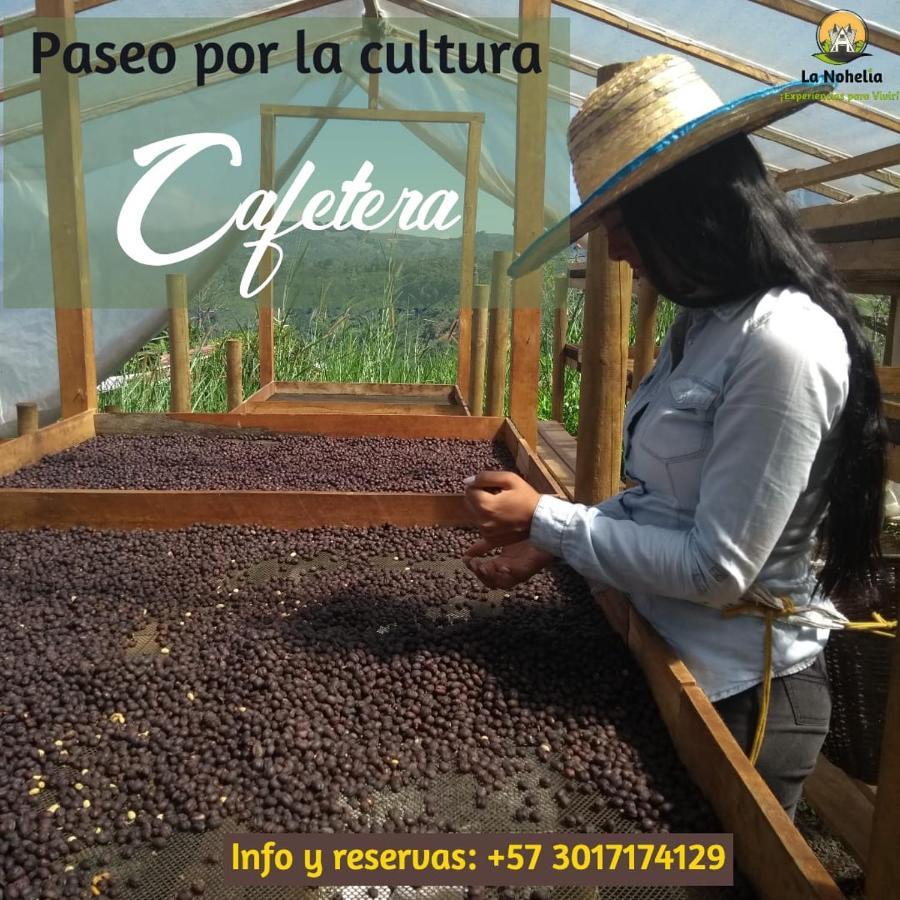 Chalet Ecoturismo La Nohelia Jericoc  Luaran gambar
