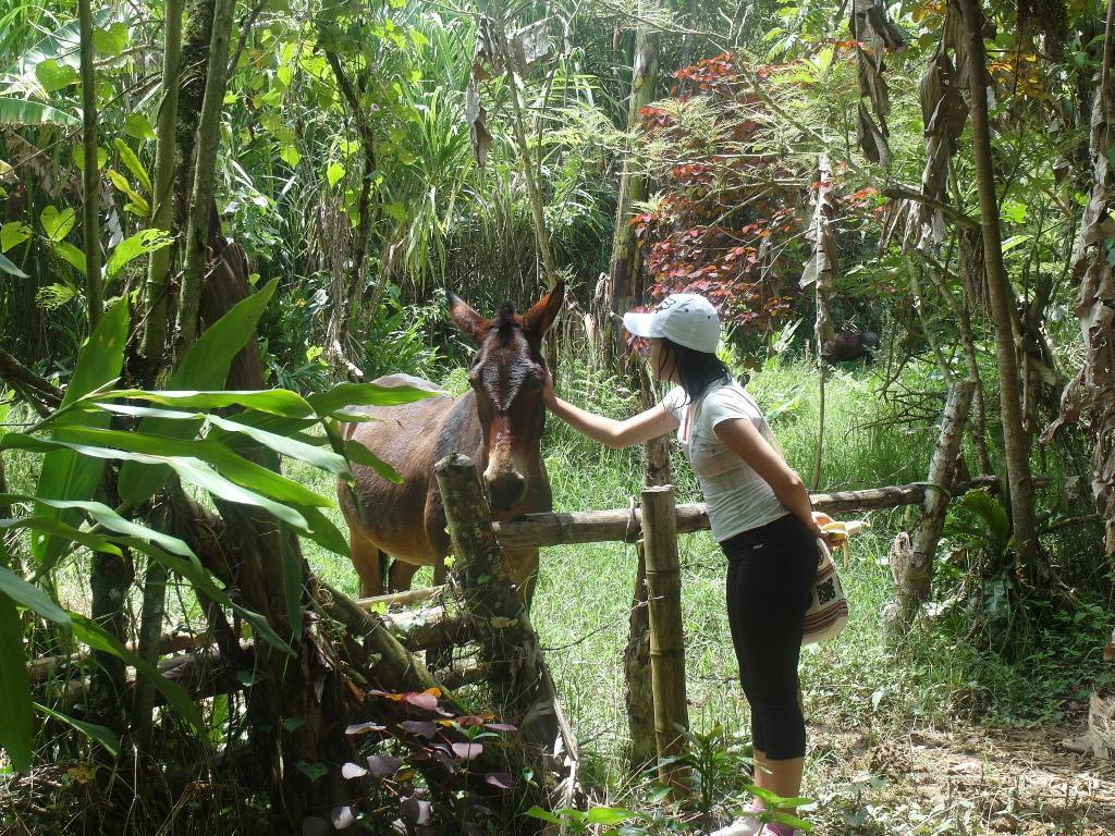 Chalet Ecoturismo La Nohelia Jericoc  Luaran gambar